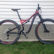 Stumpy FSR 29er