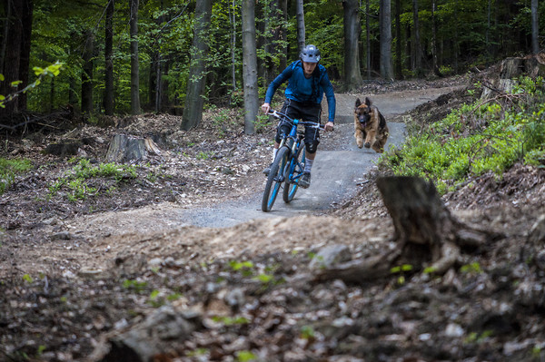 trail buddy mountain bike