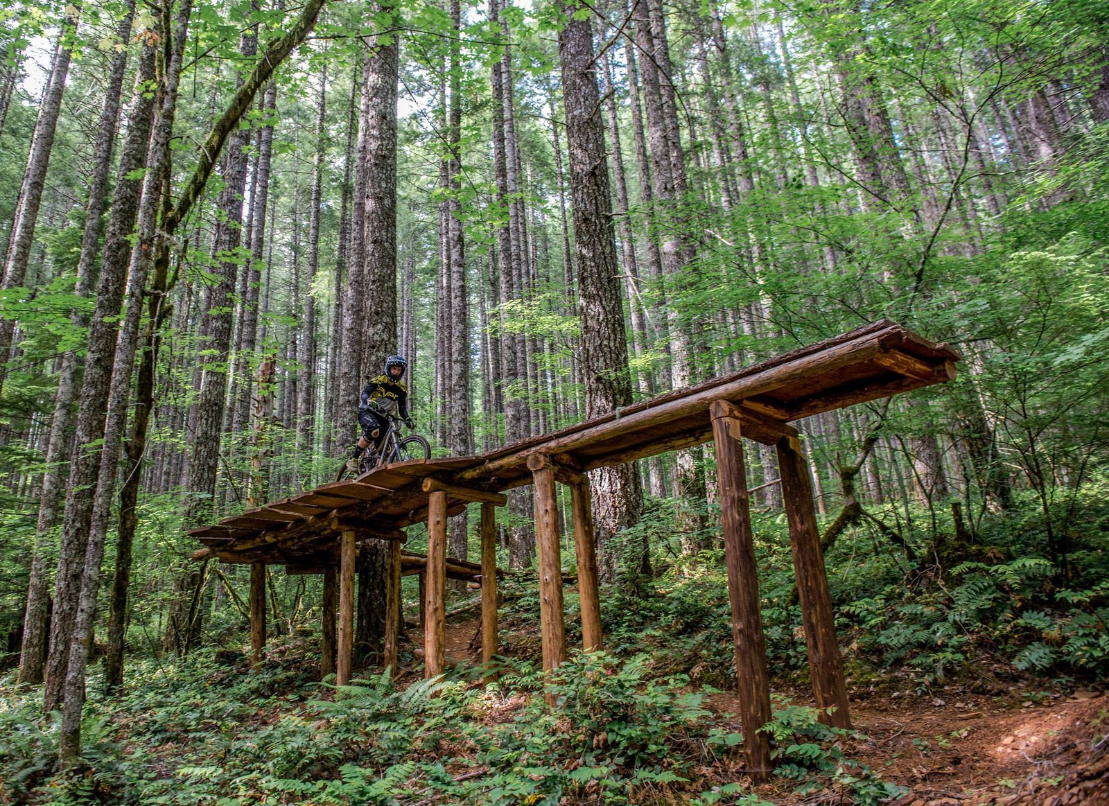 blackrock mtb