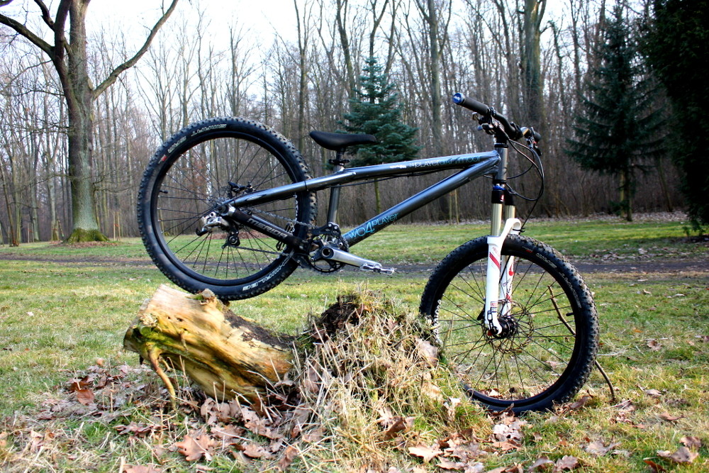 Dartmoor Two4player 4X/DJ/Pumptrack bike Fonika's Bike Check Vital MTB