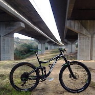 Giant Trance 2 LTD "Nozes Edition" ...mullet?!