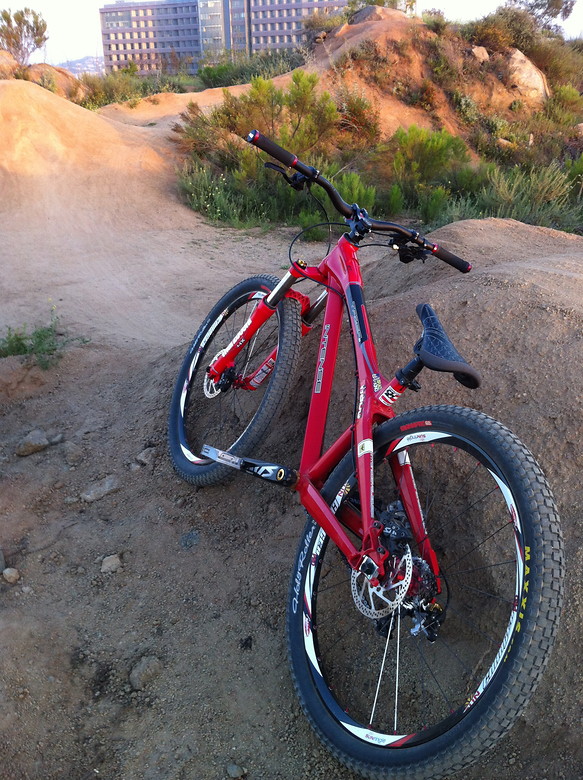 intense tazer for sale