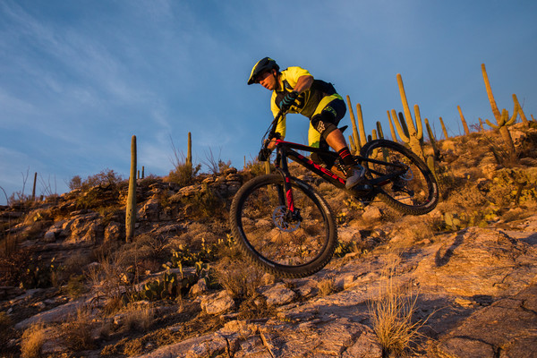 trek session 9.9 race shop limited