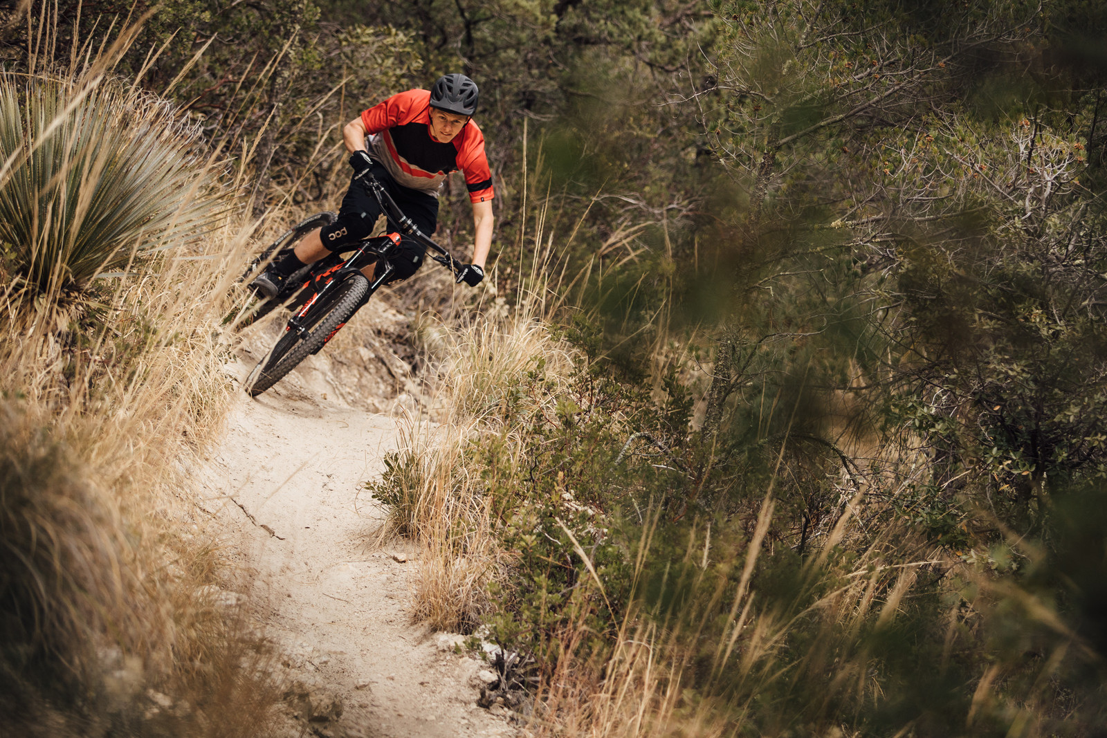 trek session 9.9 race shop limited