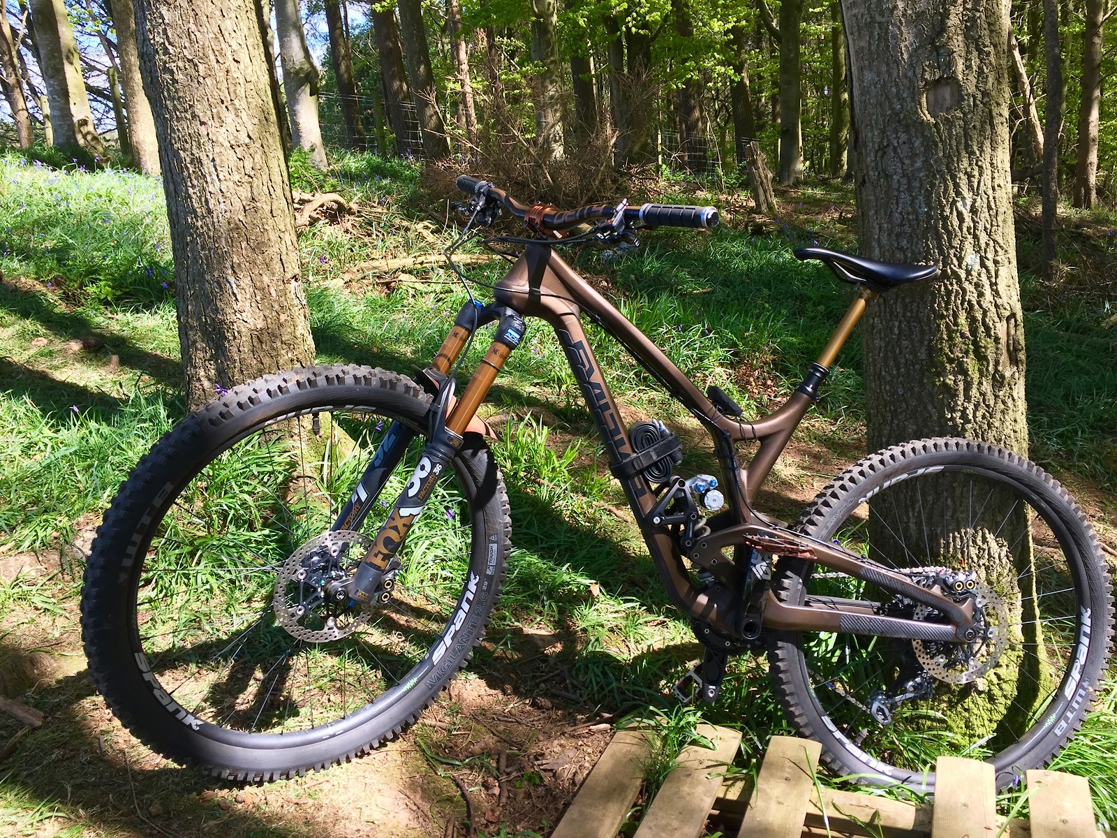 Evil Wreckoning LB 2019 Rusty Trombone yaabeauty's Bike Check