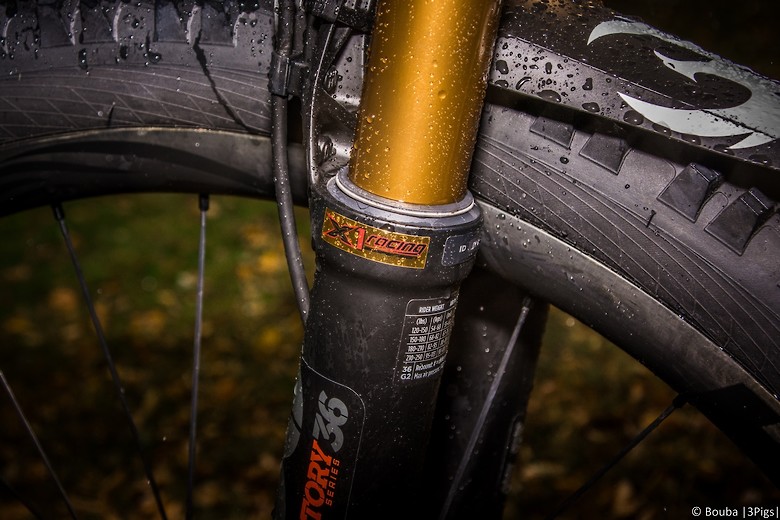 Pivot Firebird 29 Bouba S Bike Check Vital Mtb