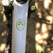 Rocky Mountain Slayer custom paint