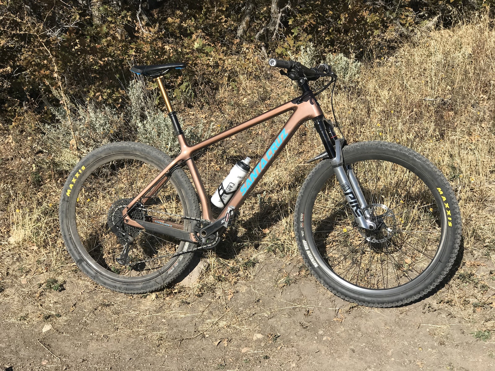 chameleon frame santa cruz