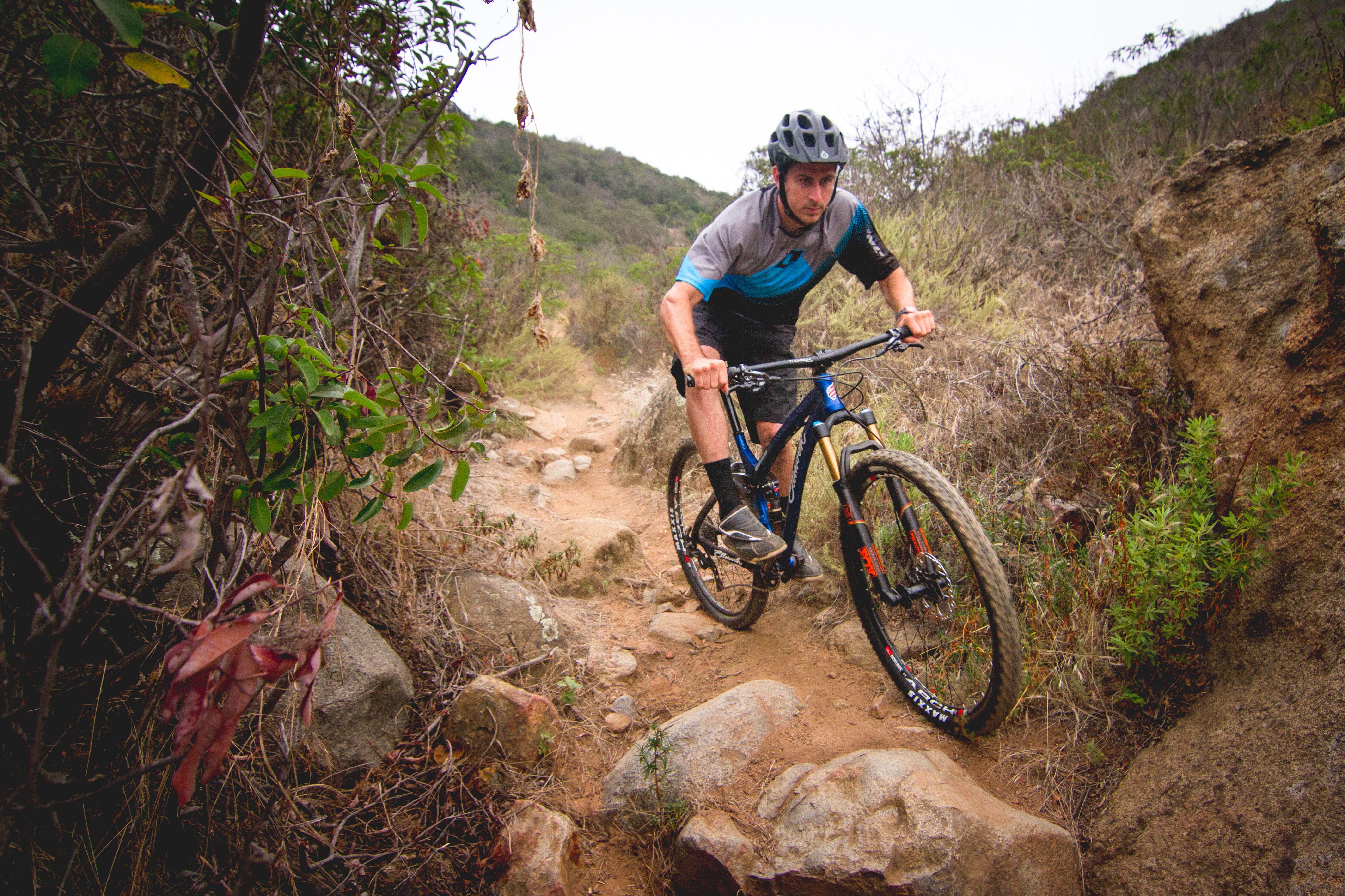 where to buy ellsworth bikes