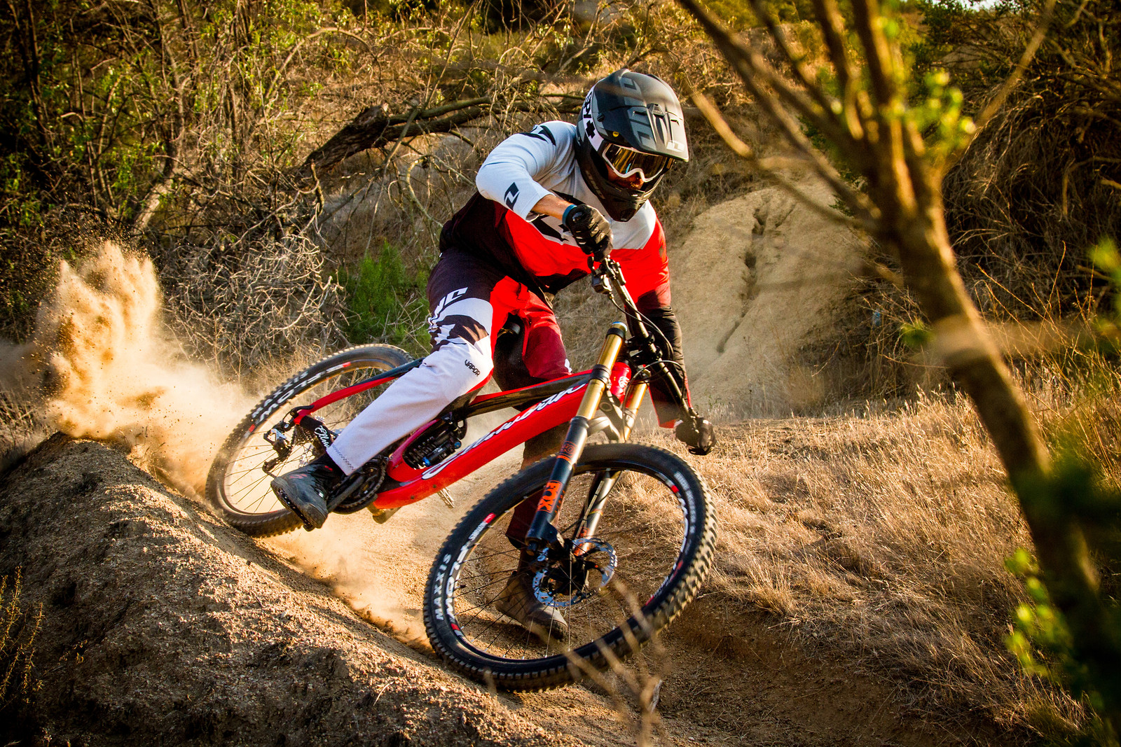ellsworth mtb