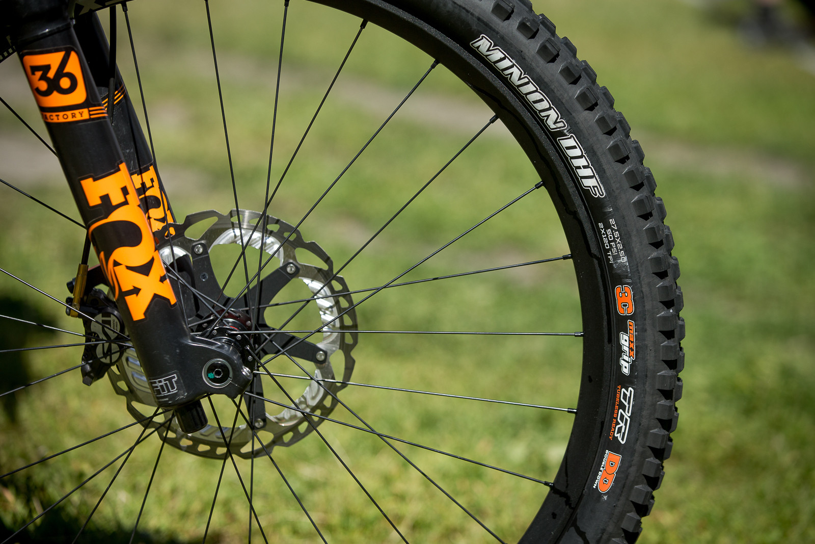 mountain bike maxxis minion dhf