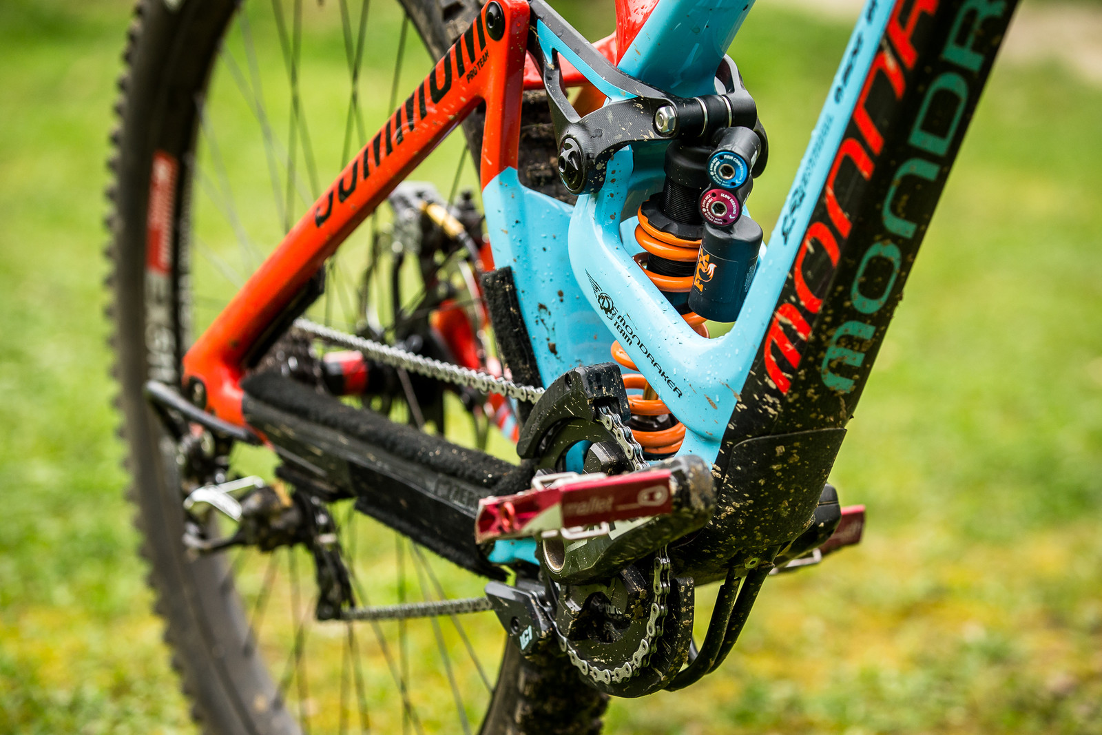 【モリノクマサン】 original_IXSMaribor18_AN3X9810.jpg - WINNING BIKE - Laurie