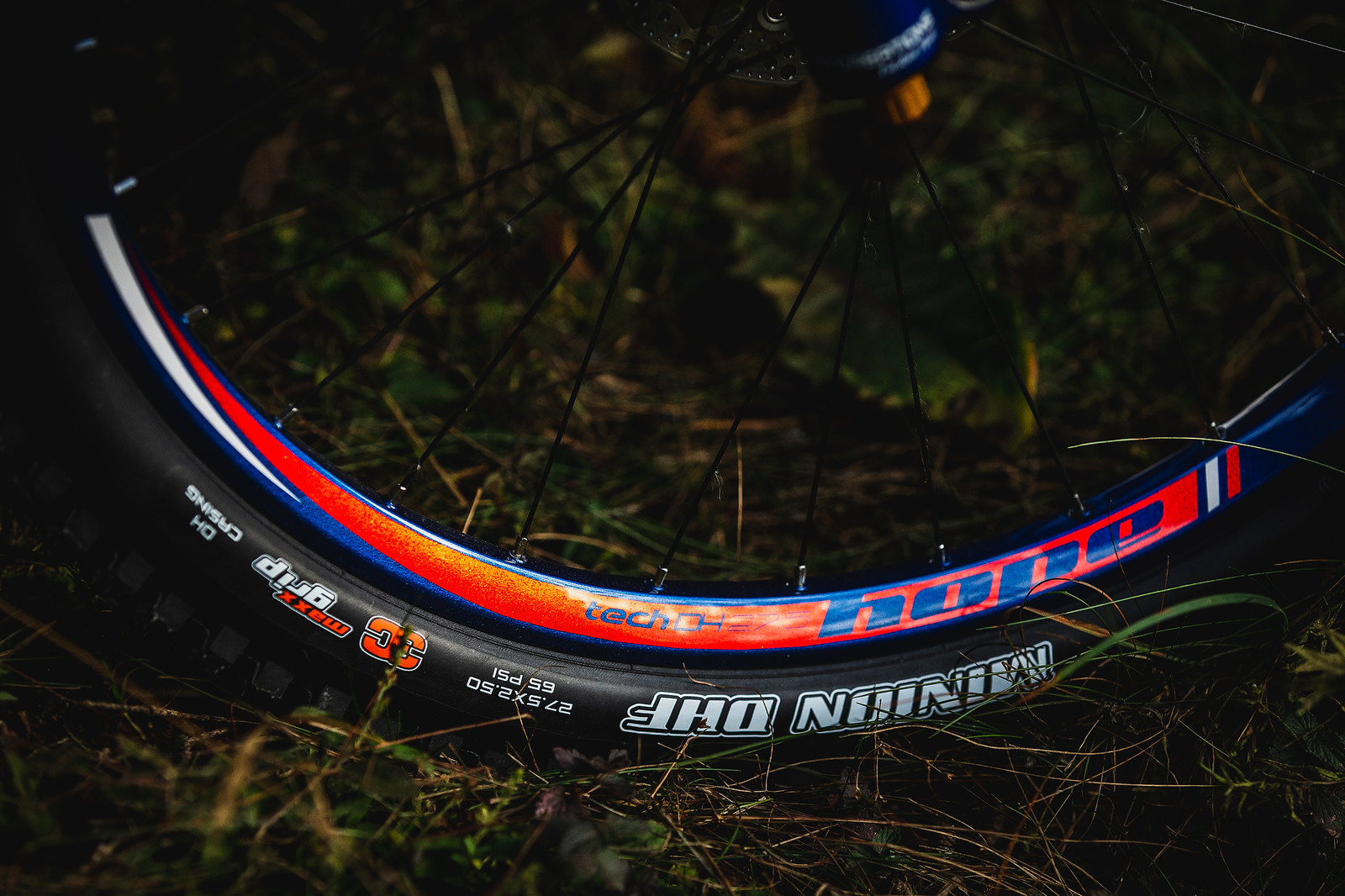 Hope Wheels WORLD CHAMPS BIKE Adam Brayton's Scott Gambler