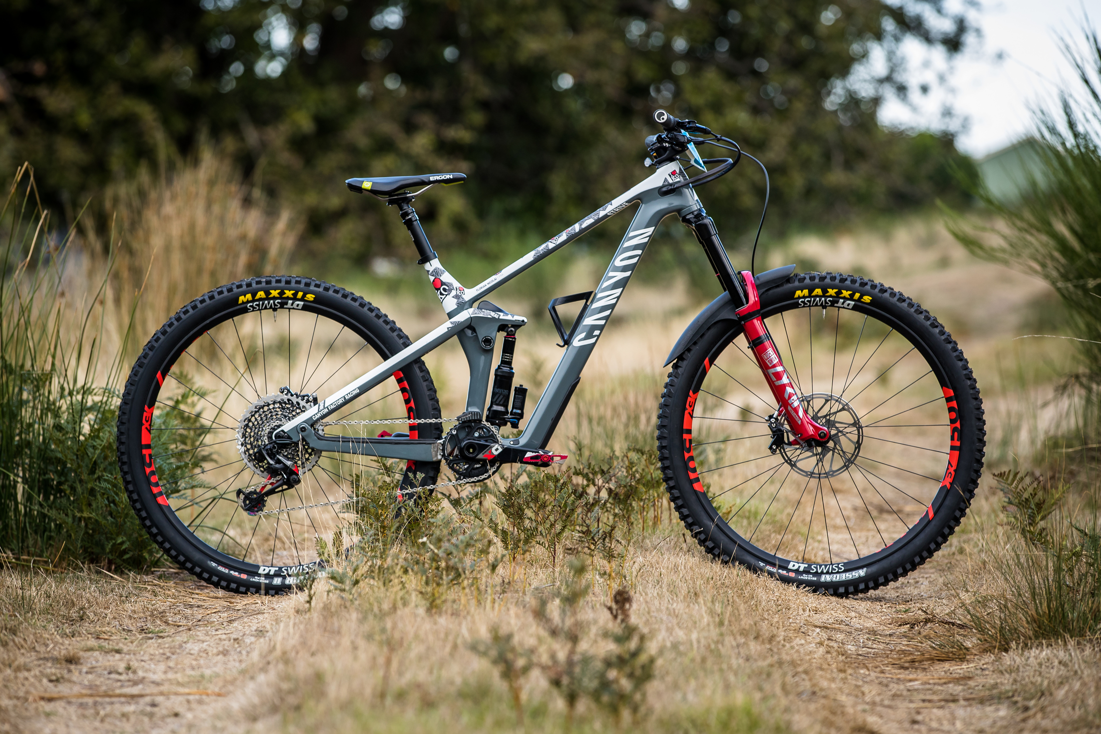 canyon enduro frame