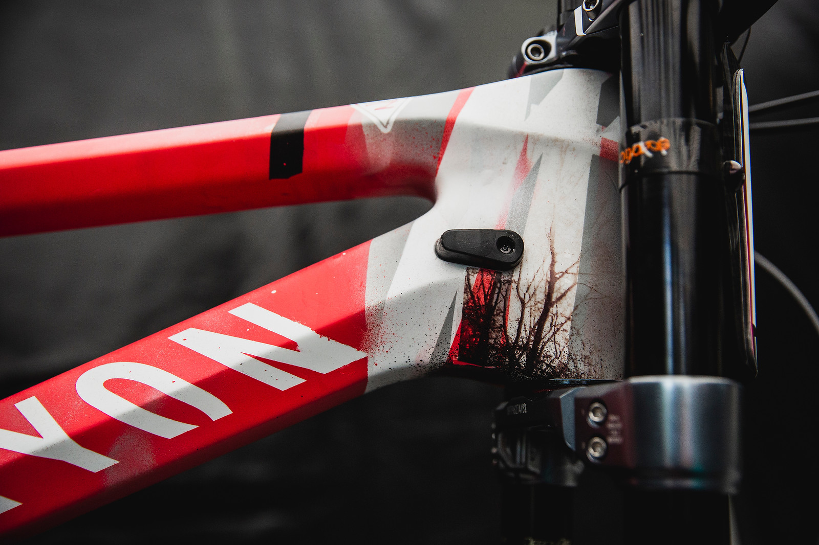 Rattle Can(yon) Sender PIT BITS 2019 Val di Sole World Cup Downhill