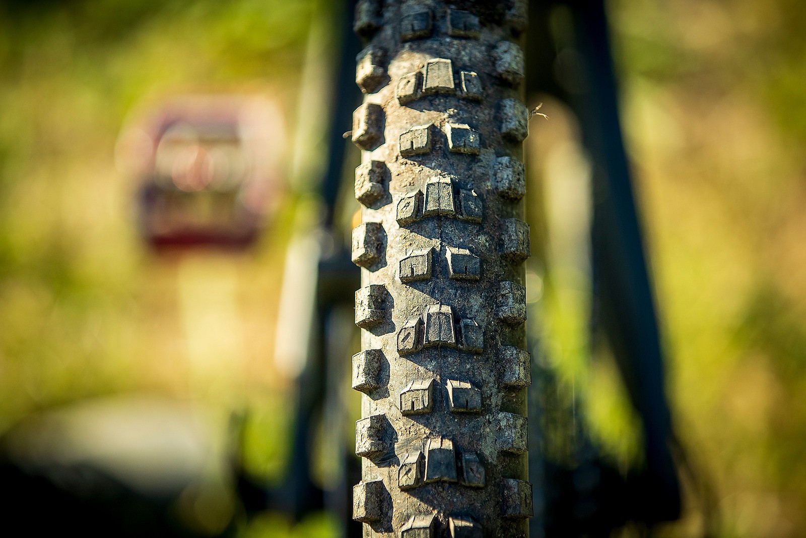 santa cruz maxxis bike