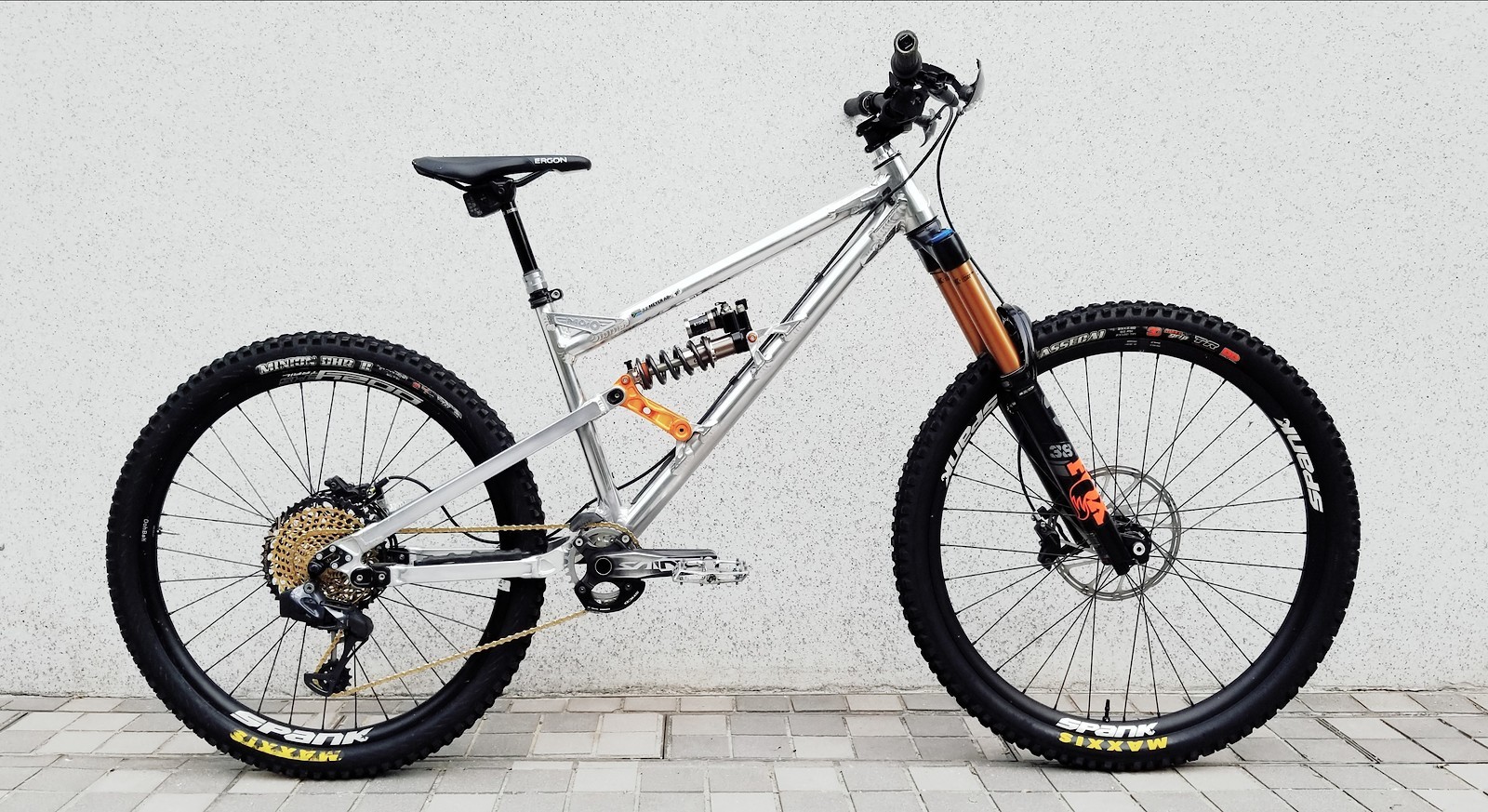 B20PV's Nicolai Geometron G16 UNIQUE Mountain Bikes! Vital Member