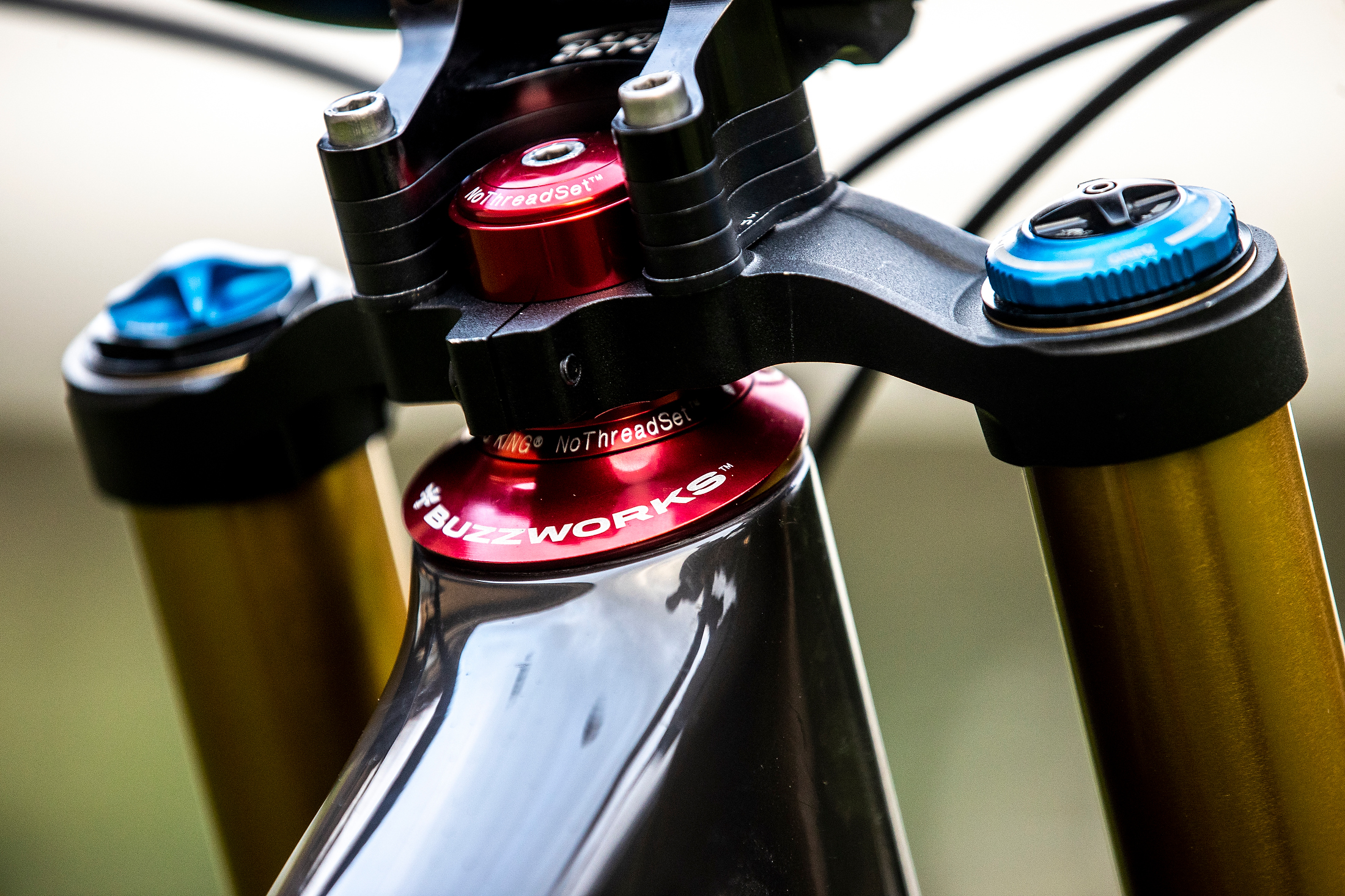 Buzzworks Headset WORLD CHAMPS BIKE Greg Minnaar's Santa Cruz V10