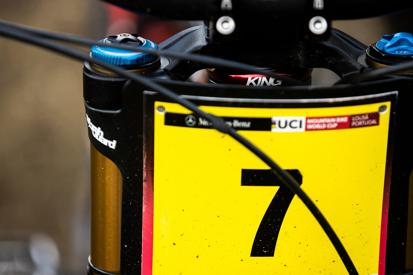 King Headset WINNING BIKE Greg Minnaar's Santa Cruz V10 Mountain