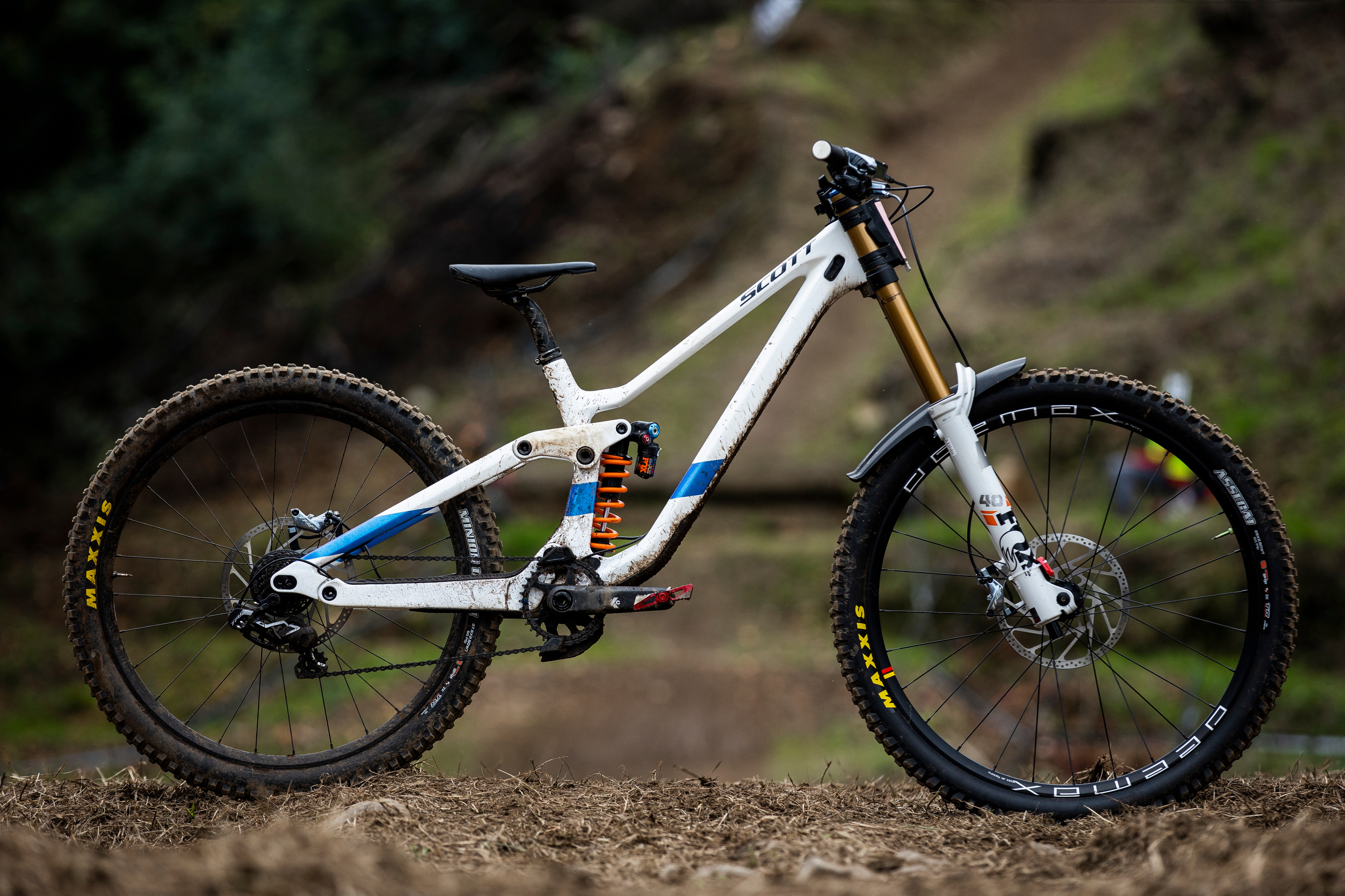 WINNING BIKE: Marine Cabirou's Scott Gambler Tuned - WINNING BIKE