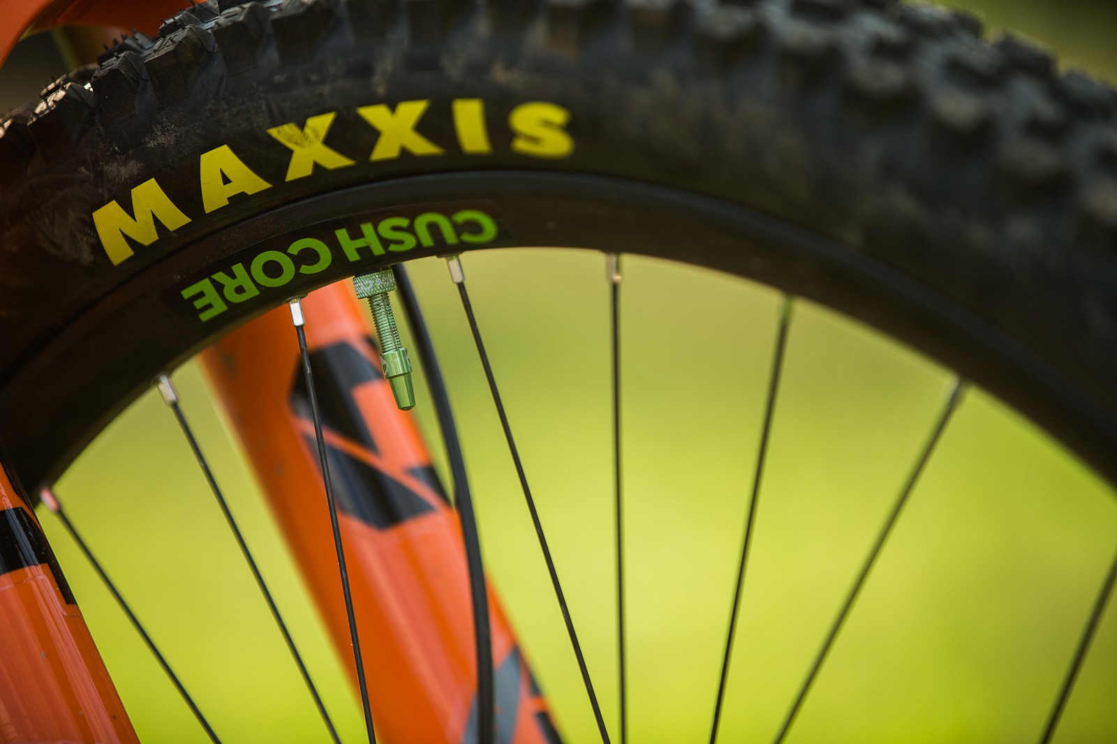 nukeproof cushcore