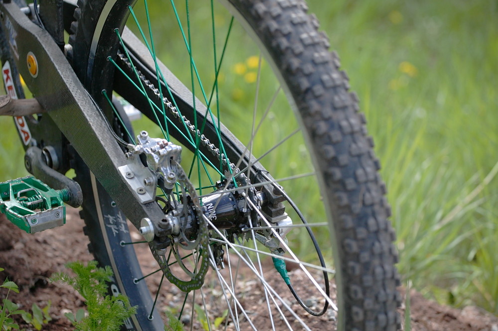 BCD Carbon 29er DH bike rear end BCD's Carbon 29er Downhill Bike from