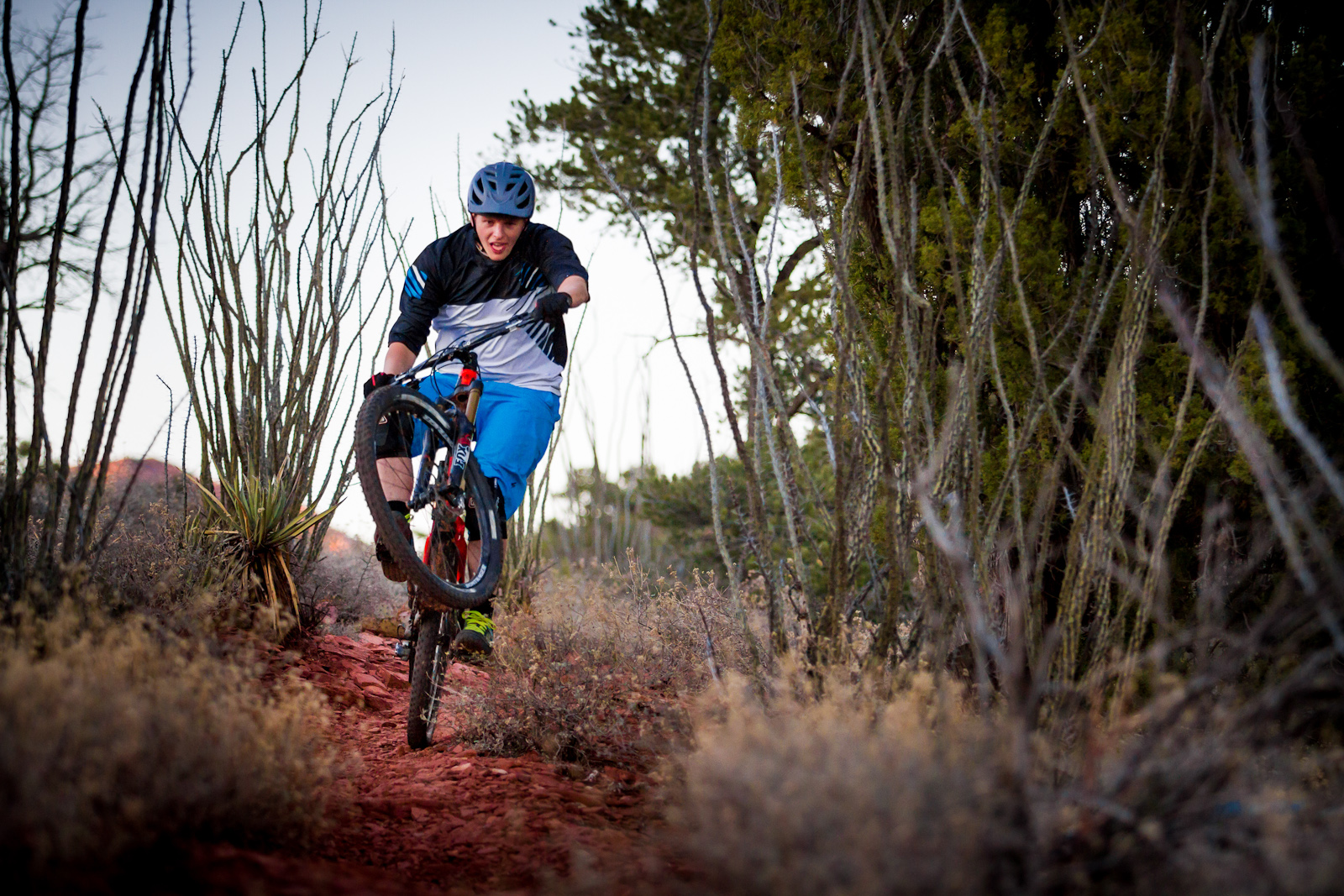 trek superfly elite sl