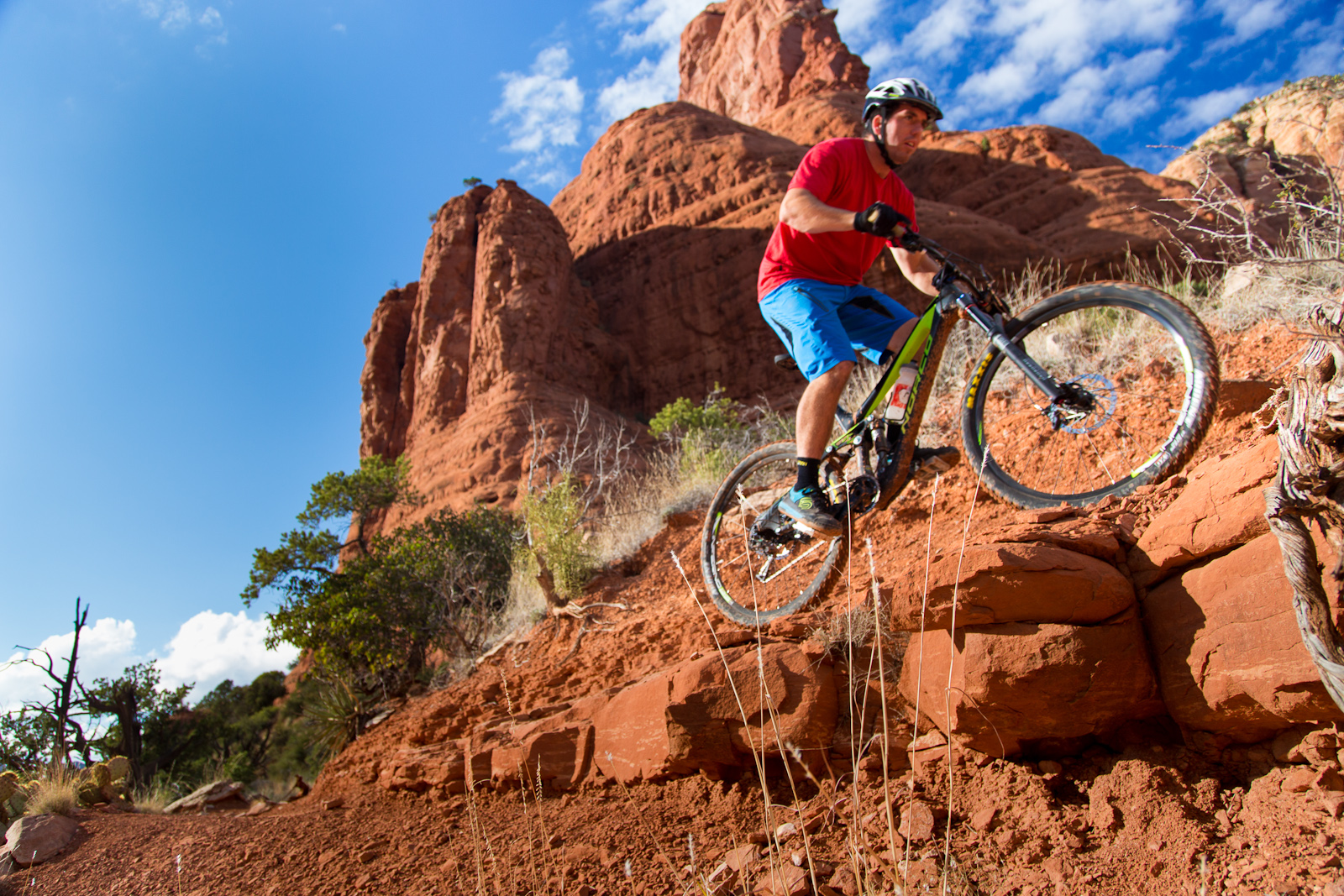 2014 norco sight carbon