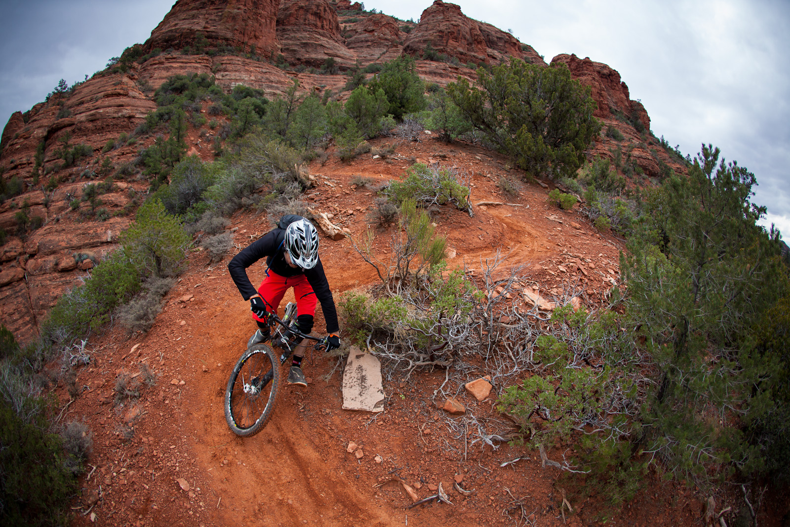 Cannondale trigger carbon Clearance