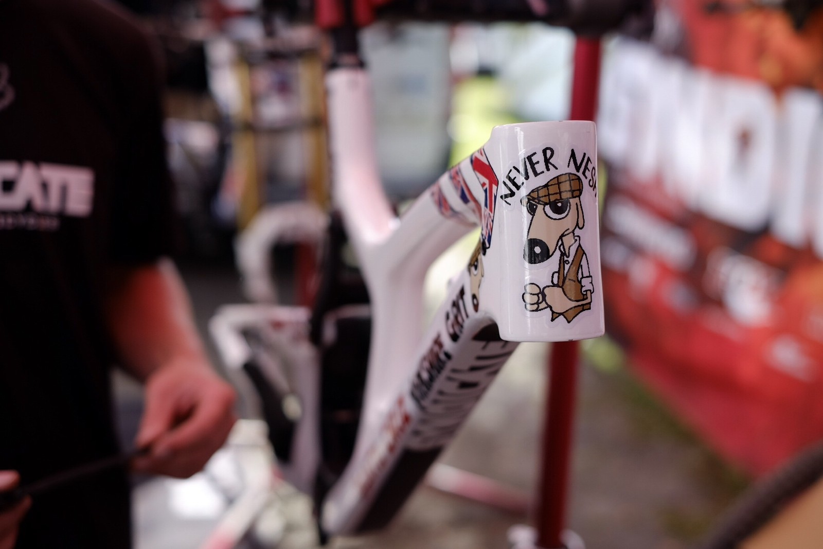 steve peat world championship run