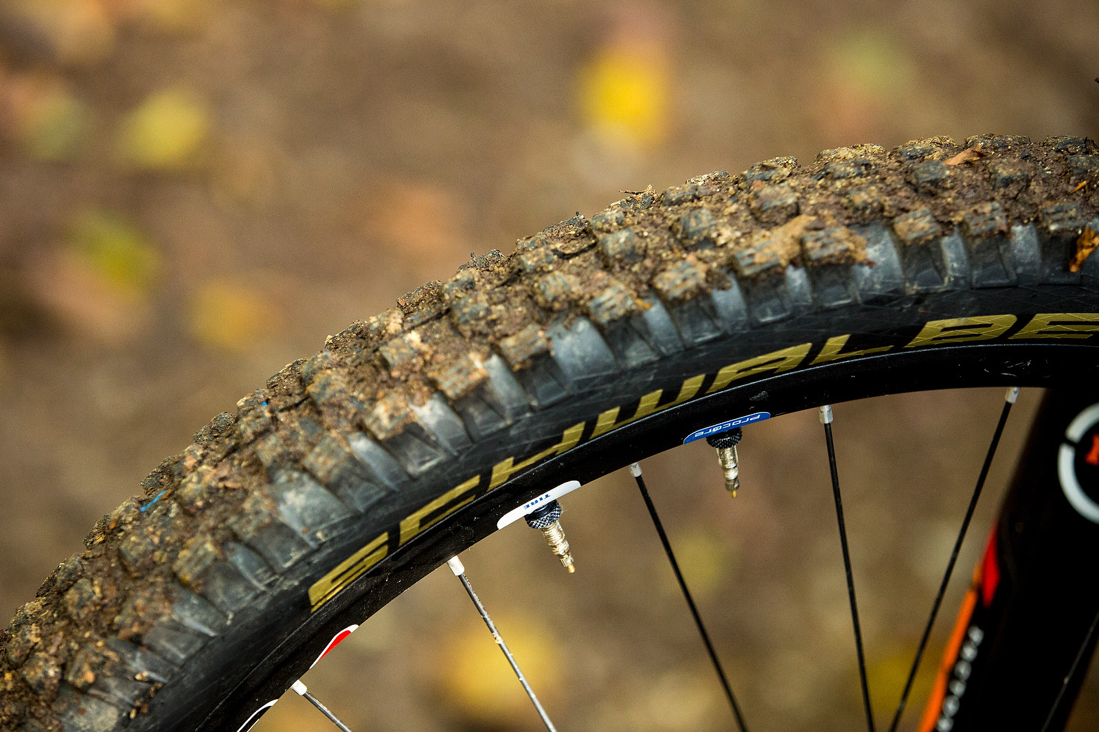 schwalbe procore