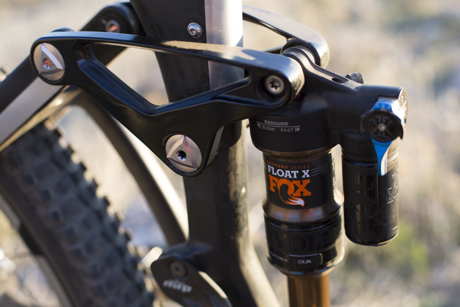 Cody Kelley's FOX Suspension Setup Pro Bike Check Cody Kelley's