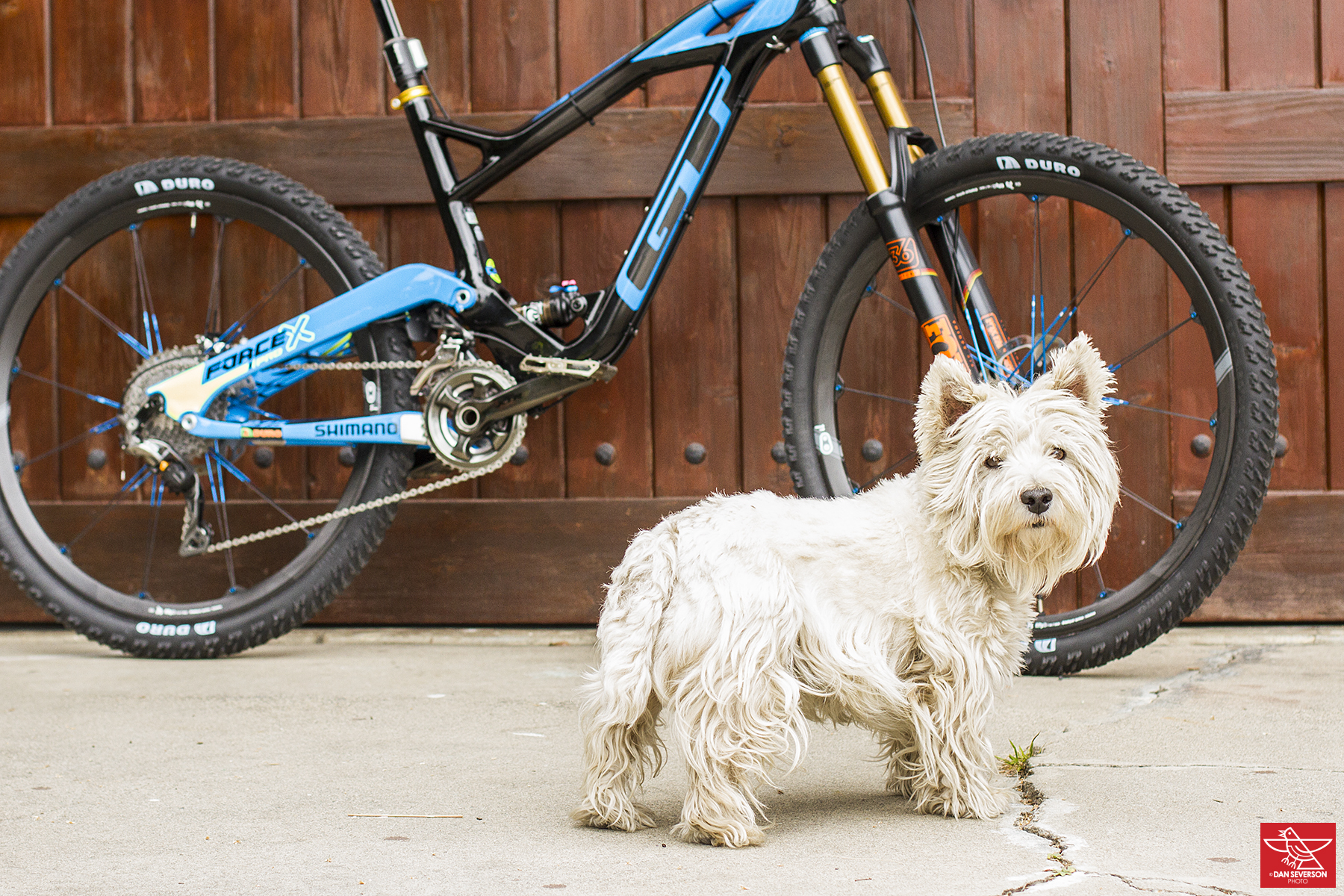 Hans Rey's Dog Approves Legend Bike Check Hans Rey's GT Force X Pro