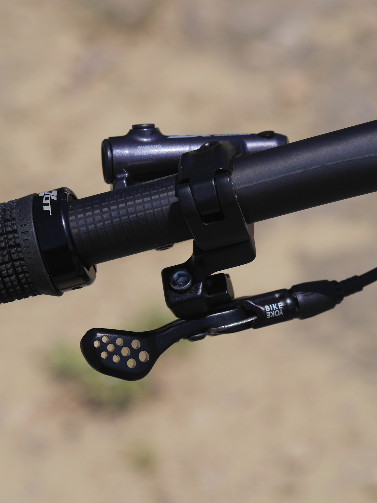 s1600 P1220928.jpg?VersionId=rYYuHVDE0P06wOrShjwWlgCHgI