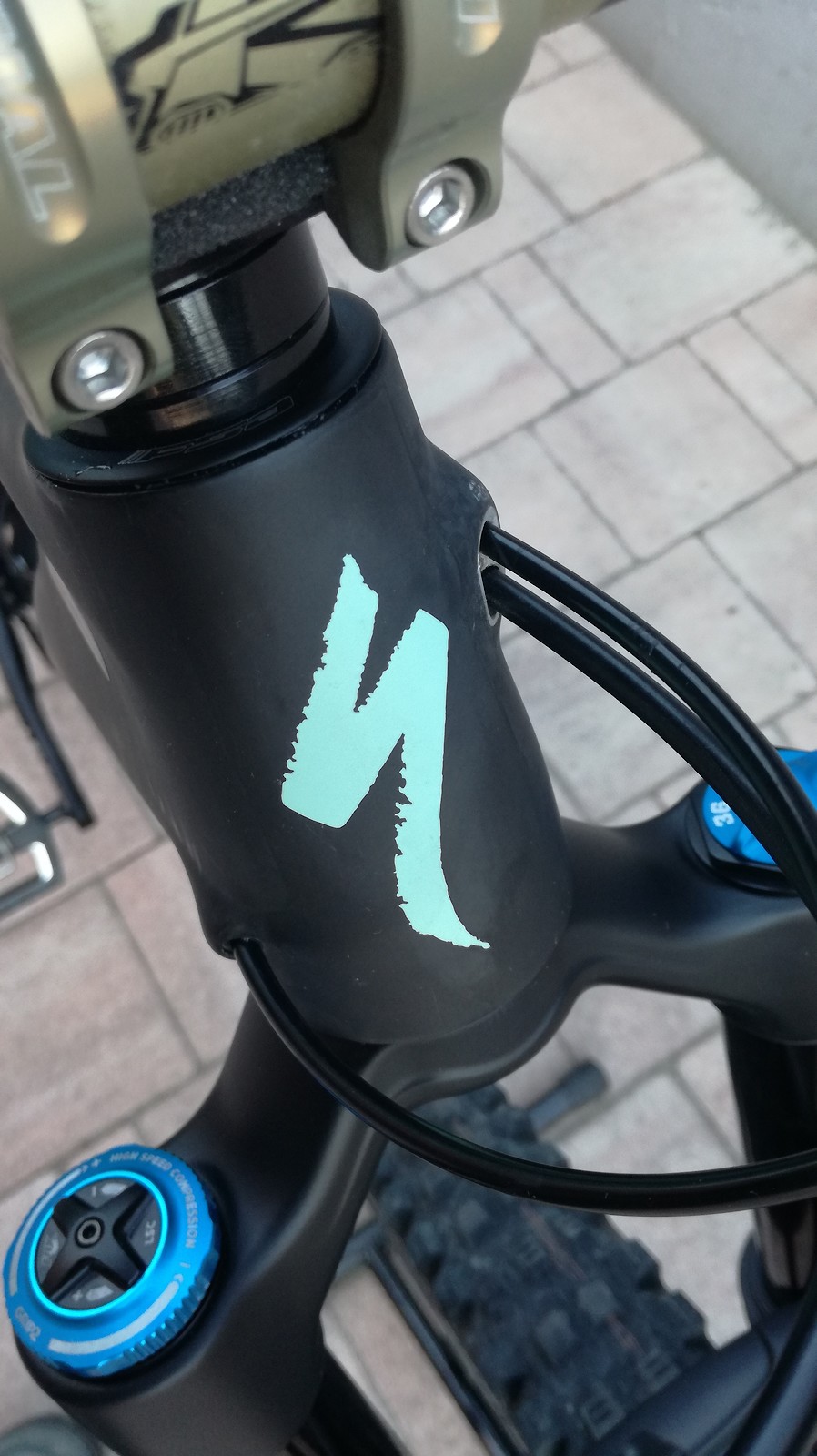 2019 stumpjumper pro