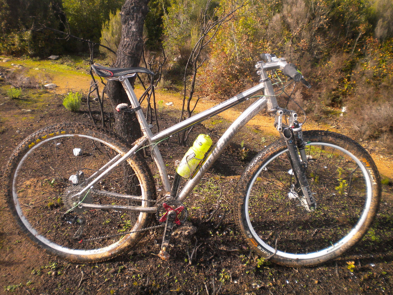 van nicholas zion 29er