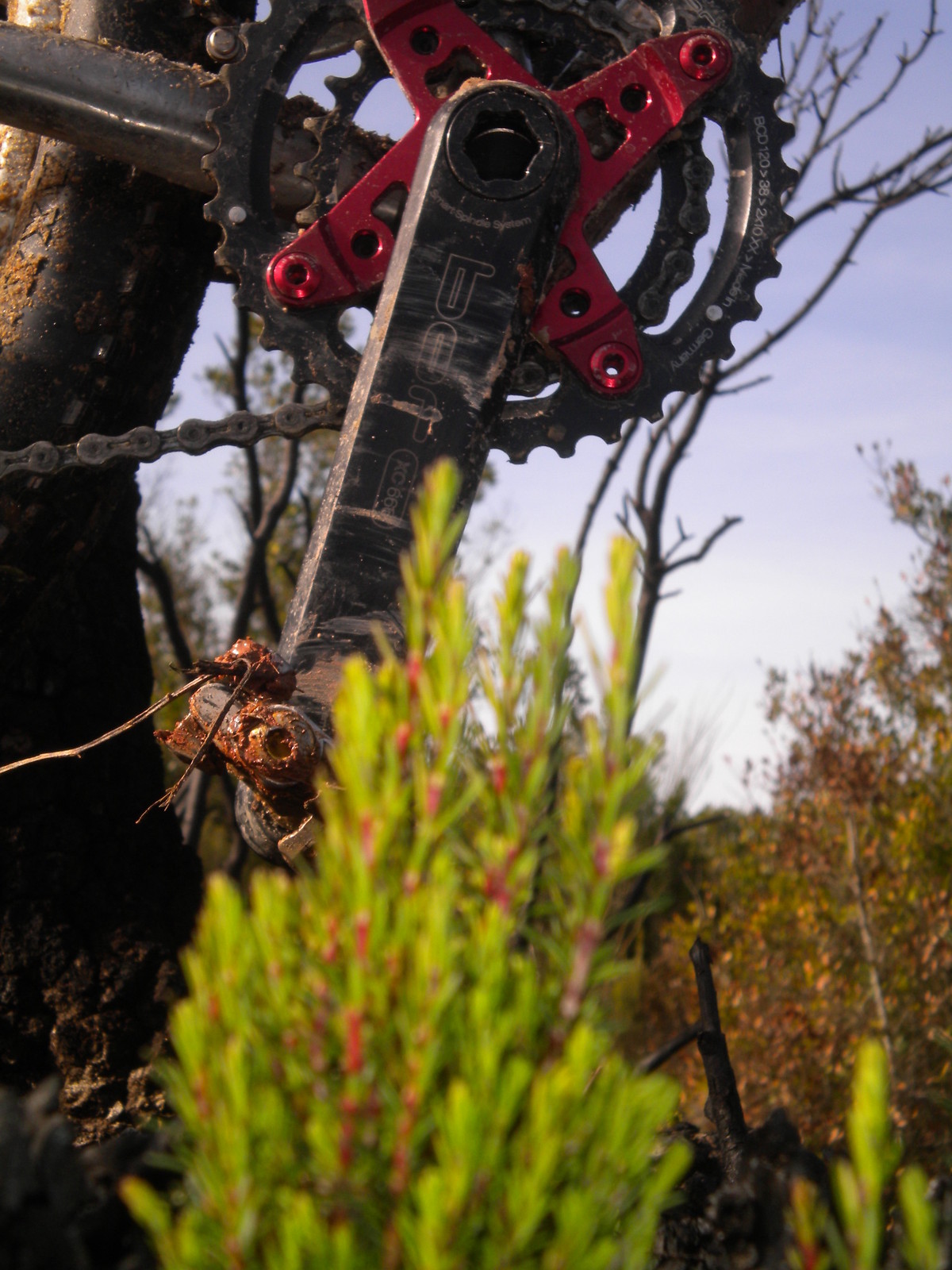 van nicholas zion 29er