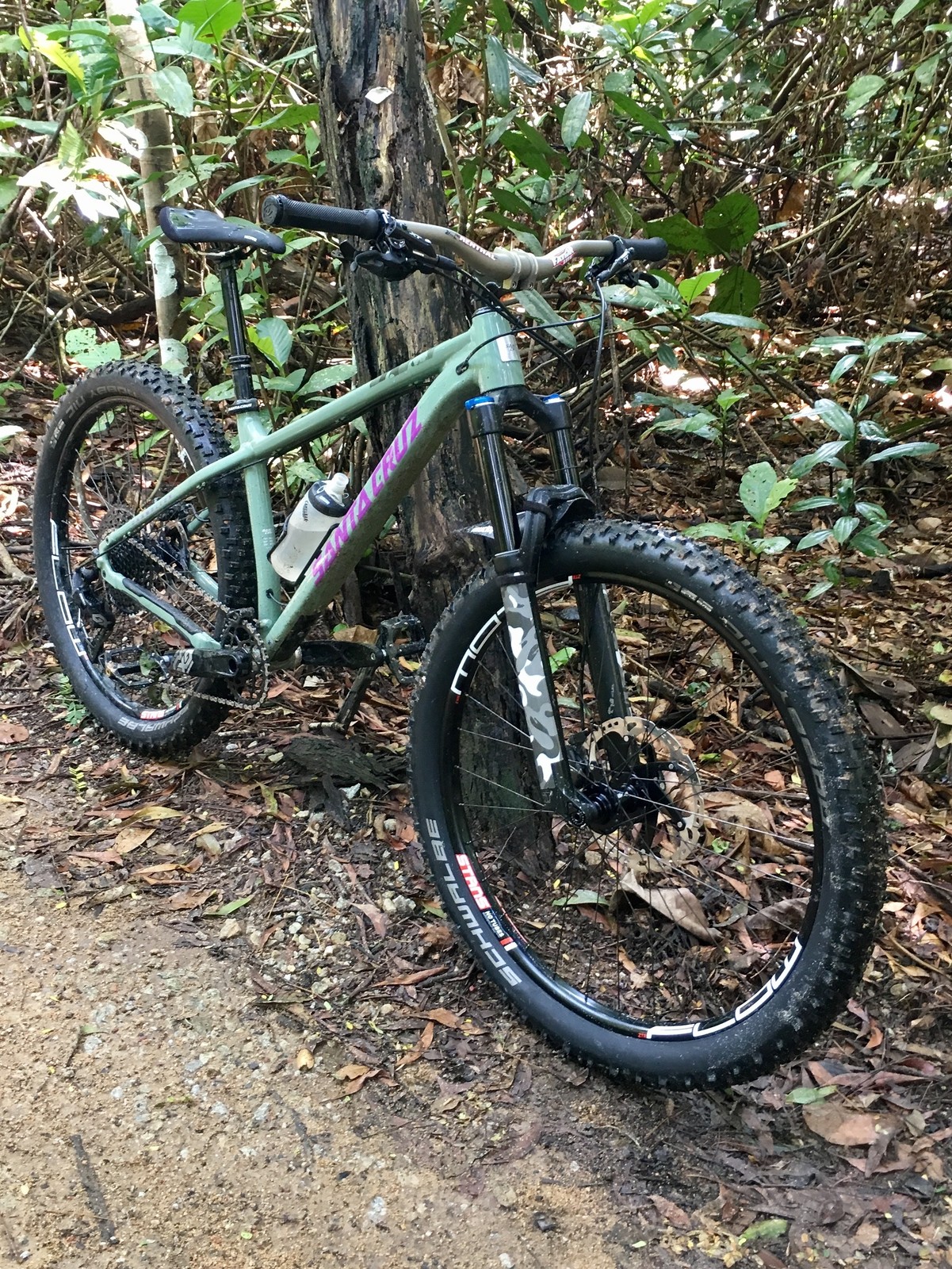 santa cruz chameleon 2018