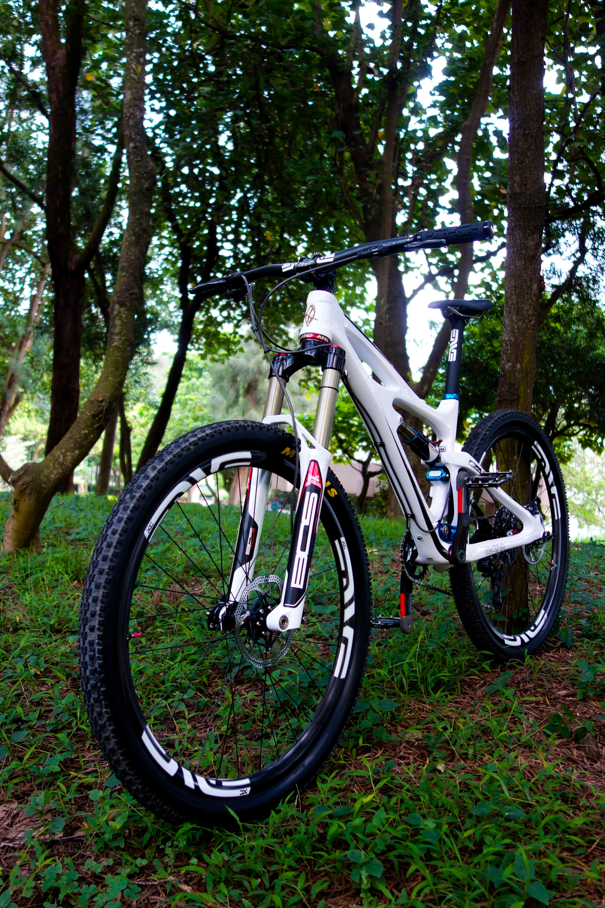 Ibis Mojo SLR 650b x BOS hkbugs