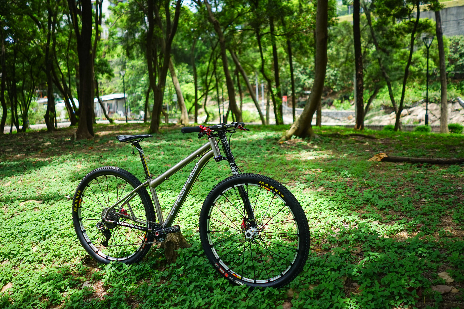 litespeed nolichucky review