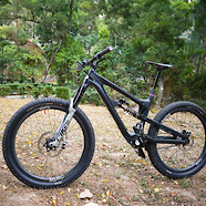 Zerode Taniwha