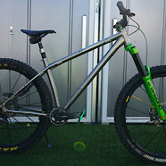 Stanton Switchback ti