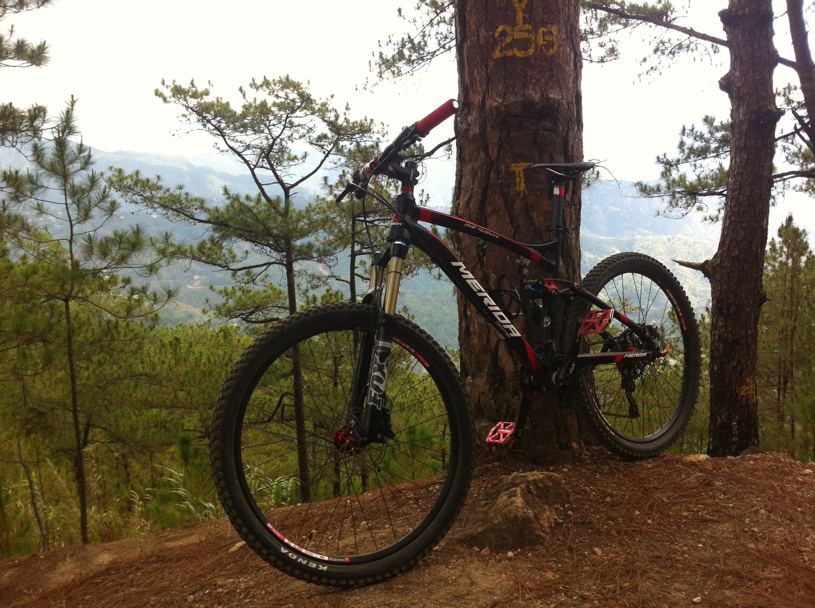 merida mtb 24