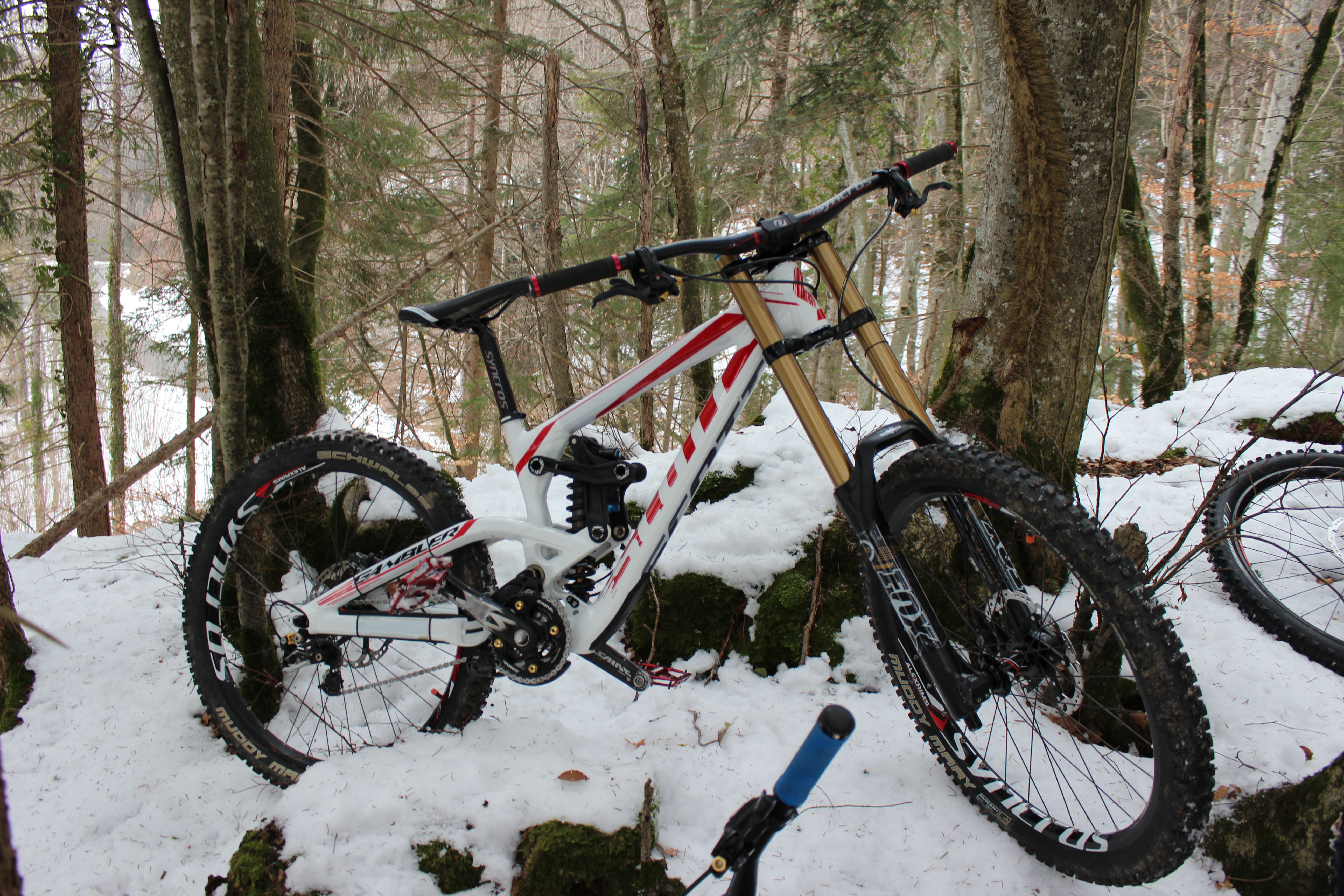 scott gambler 30 2013