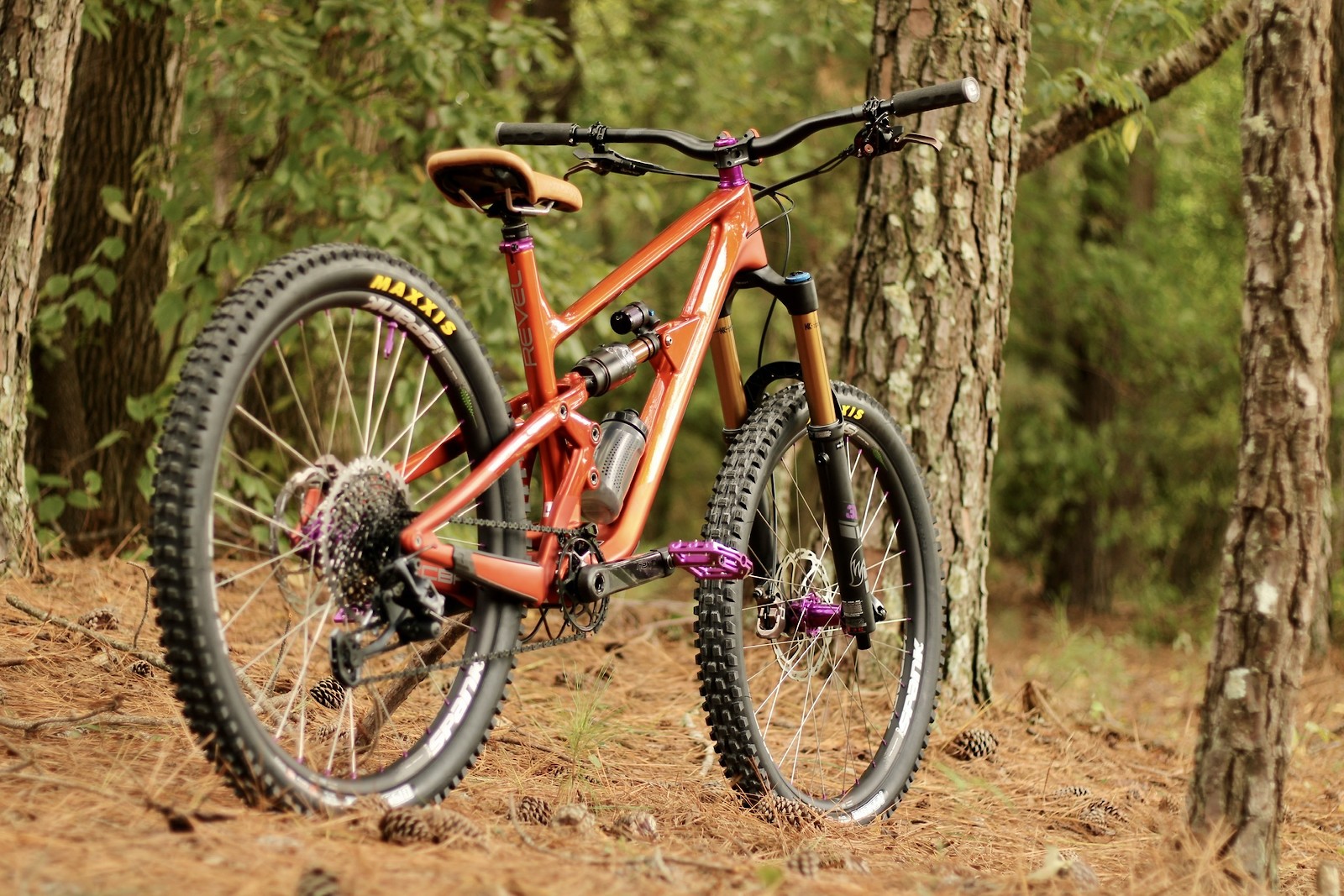 Revel Rail - buli.schaefer's Bike Check - Vital MTB
