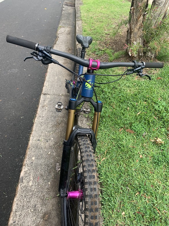 bird 29er