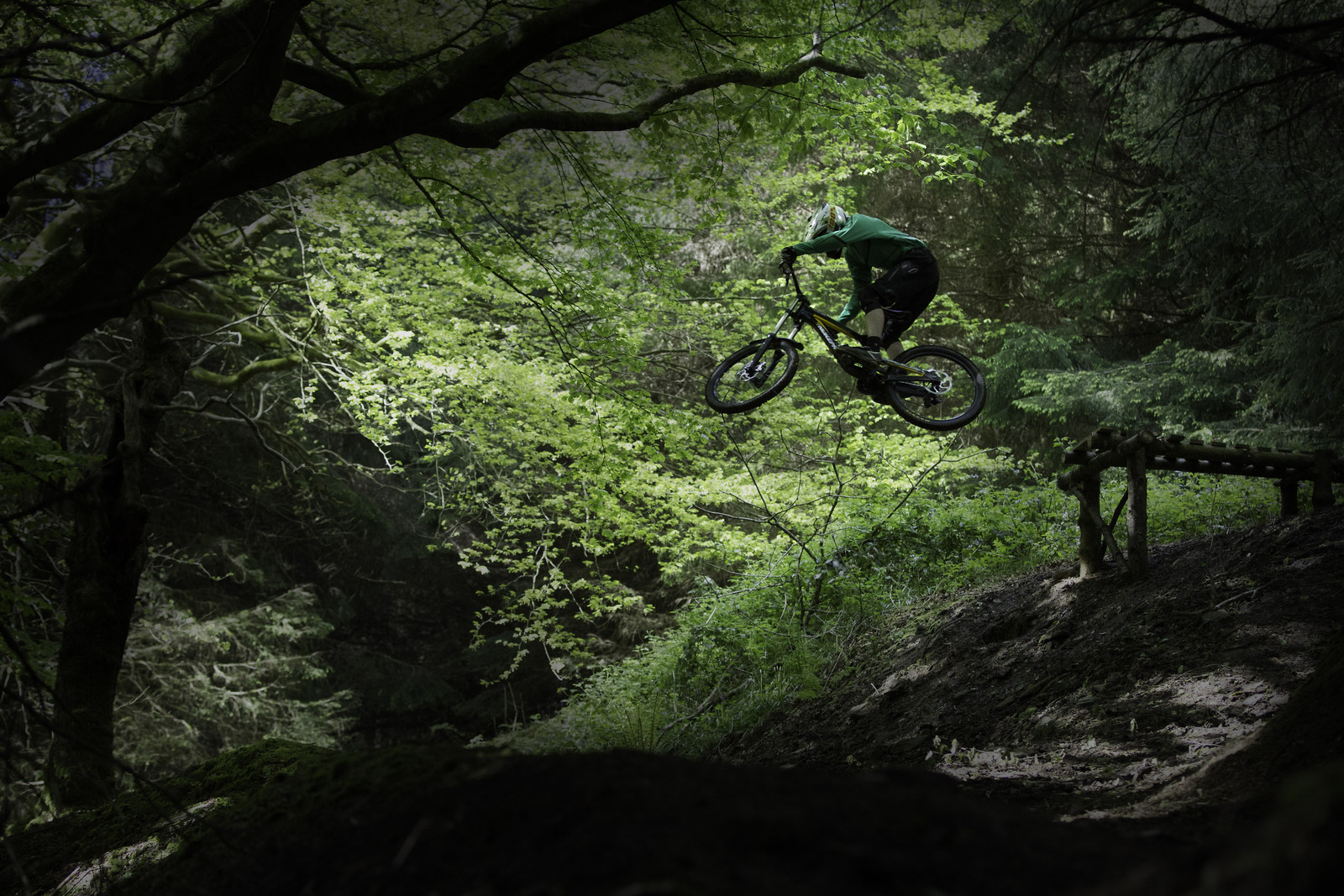 Into the shadows Wayne DC Mountain Biking Pictures Vital MTB