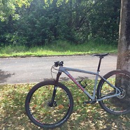 Serfo's Santa Cruz