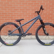 Santa Cruz Jackal