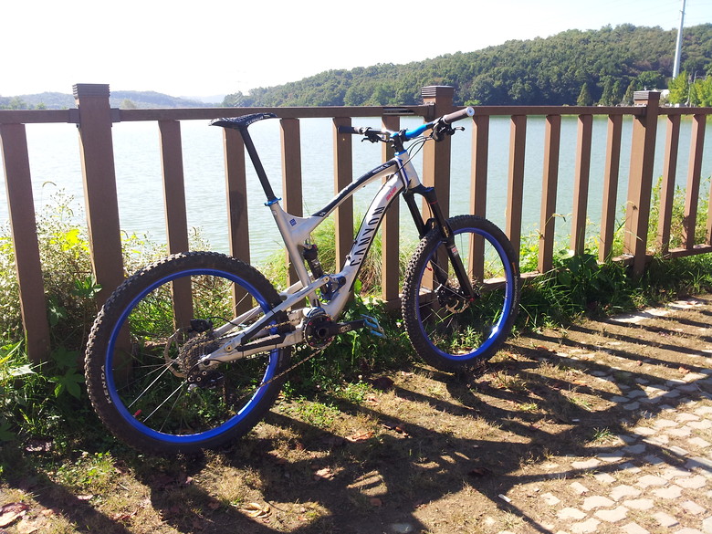 canyon strive al 8.0